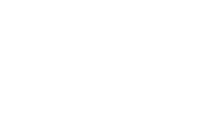 lesley walsh logo