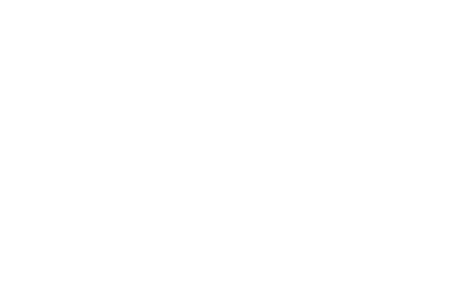 lesley walsh logo